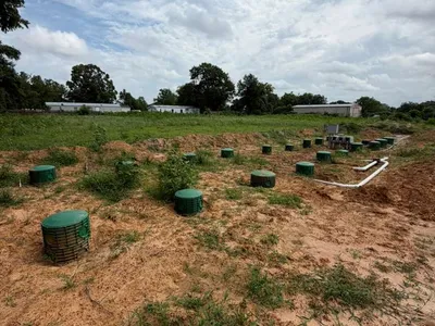 Green risers across a cleared septic dispersal area