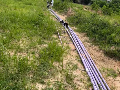 Purple drip distribution lines running along a grassy slope