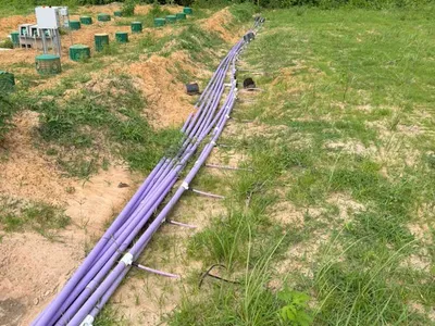 Bundled purple drip lines and green risers in a septic drip field