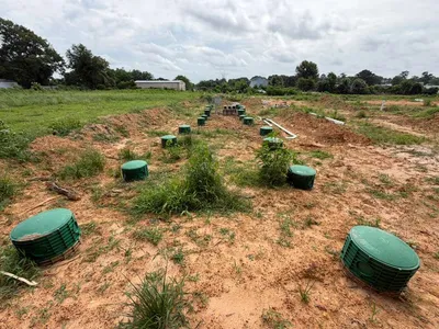 Green risers across a large septic dispersal field